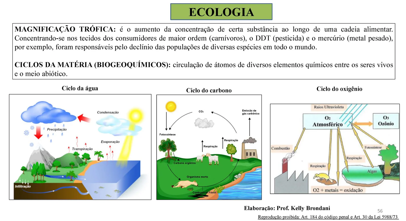 Página 56 — Ecologia: magnificação trófica e ciclos biogeoquímicos, com esquemas do ciclo da água, do carbono e do oxigênio